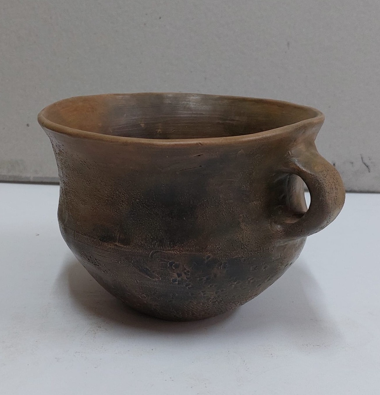 Eko-etno kuća Vrpolje